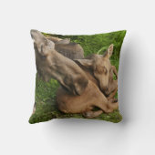 柔らかい母ムース クッション (裏面)