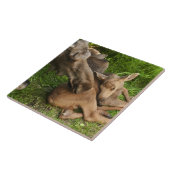 柔らかい母ムース タイル (側面)