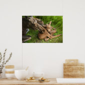 柔らかい母ムース ポスター (キッチン)