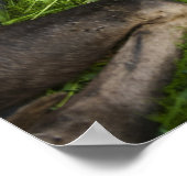 柔らかい母ムース ポスター (角)