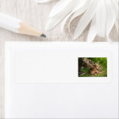 柔らかい母ムース ラベル (インサイチュ)