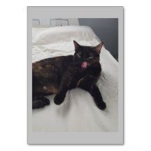 柔らかい毛皮、ネコ、形容詞の読フラッシュカード