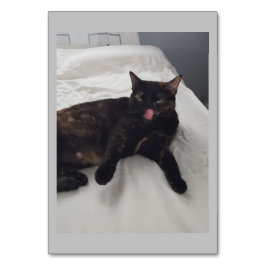 柔らかい毛皮、ネコ、形容詞の読フラッシュカード テーブルナンバー