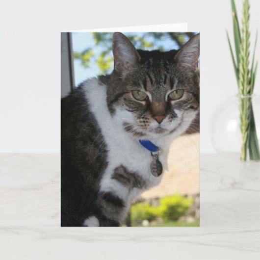 柔らかい空白のあいさつカード カード (正面)