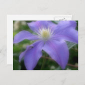 柔らかい紫色のクリマチスの花 ポストカード (正面/裏面)