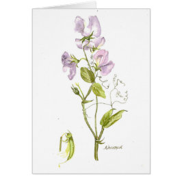 柔らかい紫色のスイートピーの水色