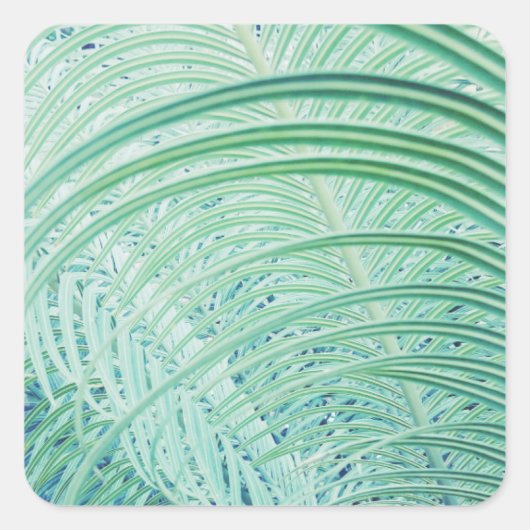 柔らかい緑の植物ヤシの葉 スクエアシール (正面)