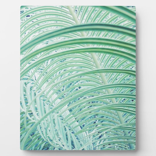 柔らかい緑の植物ヤシの葉 フォトプラーク (正面)