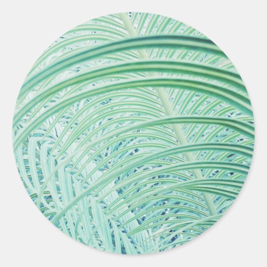 柔らかい緑の植物ヤシの葉 ラウンドシール (正面)