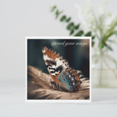 柔らかい羽毛に座っている蝶 (スタンド正面)