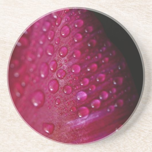 柔らかい花弁ピンクの優雅なチューリップコースター コースター (正面)