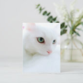 柔らかい雲 ポストカード (スタンド正面)