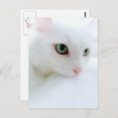 柔らかい雲 ポストカード (正面/裏面)