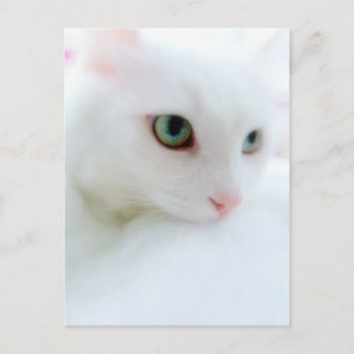 柔らかい雲 ポストカード