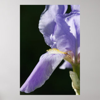 柔らかくて繊細な ポスター