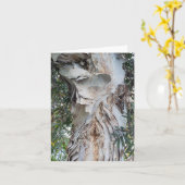 柔らかく剥がれる白い樹皮グリーティングカード カード (黄色い花)