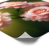 柔らかく淡いピンクのバラ ポスター (角)