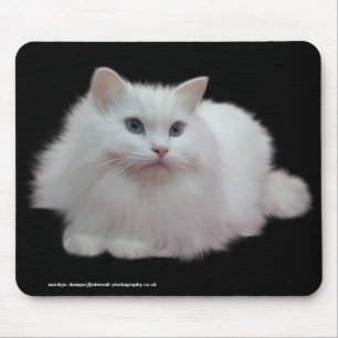 柔らかく白い猫 マウスパッド