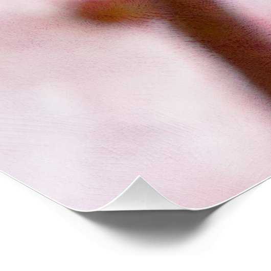 柔らかさ春 ポスター (コーナー)