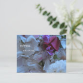 柔らかさ、魂の食料、 ポストカード (スタンド正面)