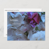 柔らかさ、魂の食料、 ポストカード (正面/裏面)