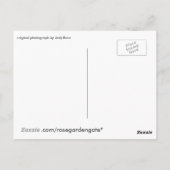 柔らかさ、魂の食料、 ポストカード (裏面)