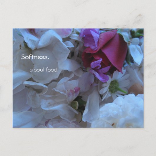 柔らかさ、魂の食料、 ポストカード (正面)