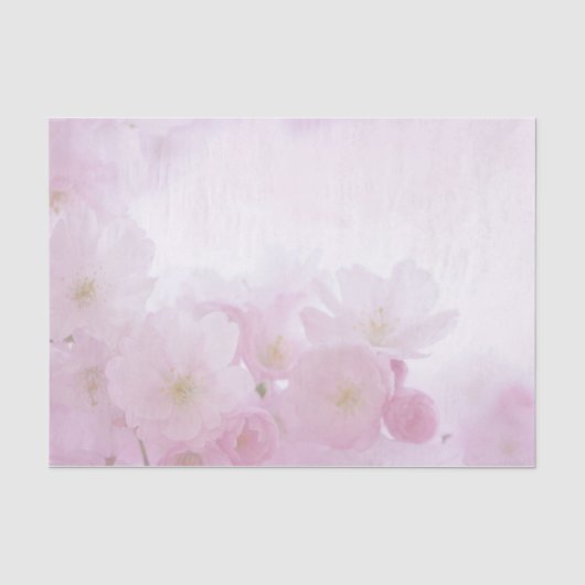 柔らかそうな大きなピンクの花 薄葉紙 (正面)