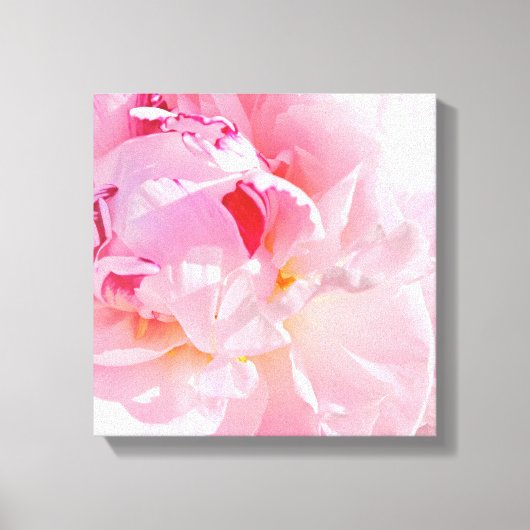 柔らかなピンクの花びら キャンバスプリント (正面)