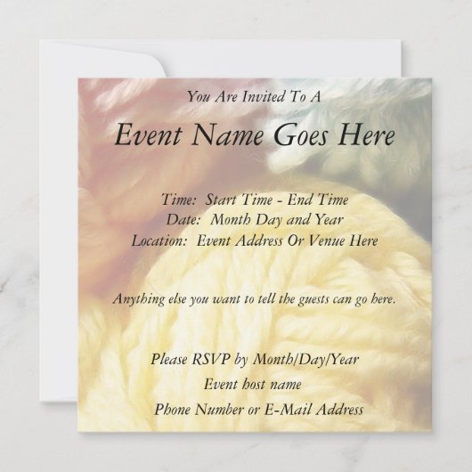 柔らかな毛糸の玉 招待状 (正面)