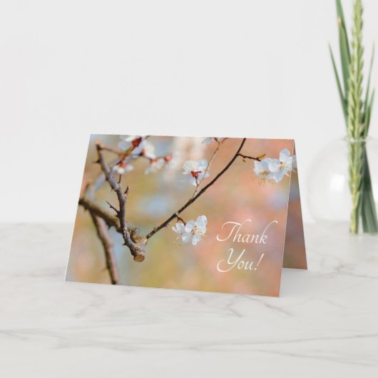 柔ら日本のかな梅 サンキューカード (正面)