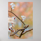 柔ら日本のかな梅 ポスター (正面)