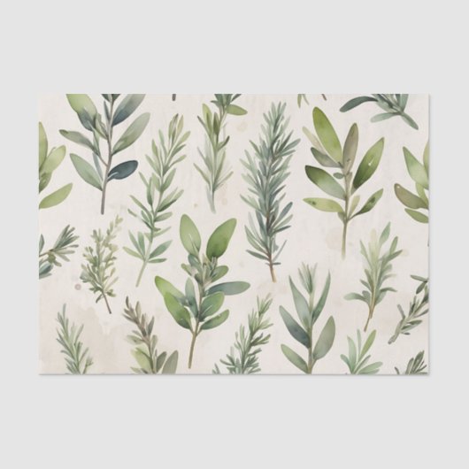 柔ら淡い色のかな緑のハーブのベージュ 薄葉紙 (正面)