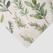 柔ら淡い色のかな緑のハーブのベージュ 薄葉紙 (詳細)