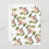 柔エレガントらかいピンクの白いバラ ポストカード (正面/裏面)