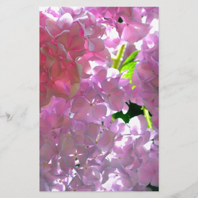 柔エレガントらかいピンクの花模様ピンクのアジサイバラ (正面)