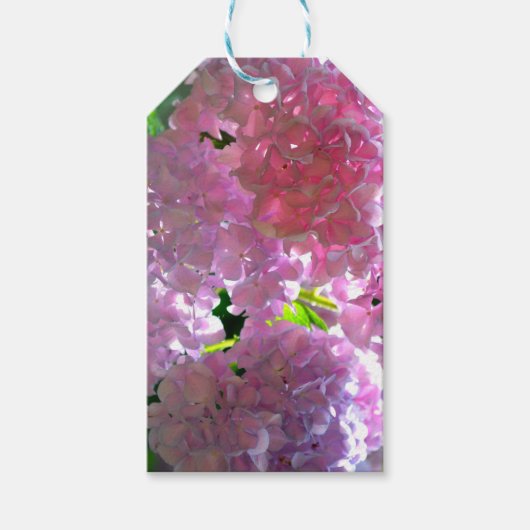 柔エレガントらかいピンクの花模様ピンクのアジサイバラ ギフトタグ (正面)