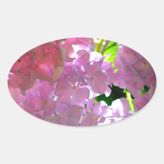 柔エレガントらかいピンクの花模様ピンクのアジサイバラ 楕円形シール (正面)