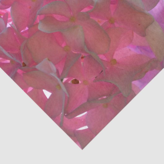 柔エレガントらかいピンクの花模様ピンクのアジサイバラ 薄葉紙 (詳細)