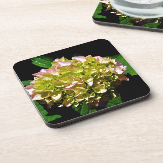 柔エレガントらかい緑のピンクの緑のフローラアジサイ コースター (左側)