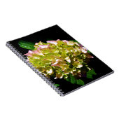 柔エレガントらかい緑のピンクの緑のフローラアジサイ ノートブック (右側)