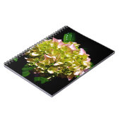 柔エレガントらかい緑のピンクの緑のフローラアジサイ ノートブック (左側)