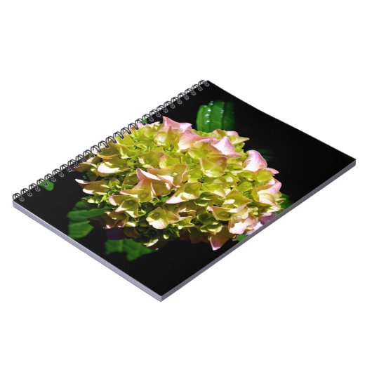 柔エレガントらかい緑のピンクの緑のフローラアジサイ ノートブック (左側)