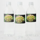 柔エレガント緑色ピンクフローラアジサイ ペットボトルラベル (ボトル)