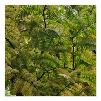 柔和な物は懸命を越す ポスター