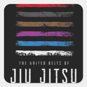 柔術デザイン統一されたと柔術のベルト スクエアシール