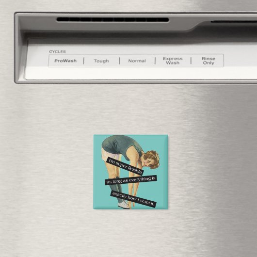 柔軟すごいなおもしろいヴィンテージ マグネット (インサイチュ (食洗機))