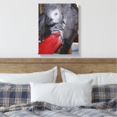 柔軟なコンゴの赤い尾を持つアフリカの灰色のオウム キャンバスプリント (インサイチュ (寝室))