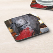 柔軟なコンゴの赤い尾を持つアフリカの灰色のオウム コースター (左側)