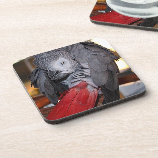 柔軟なコンゴの赤い尾を持つアフリカの灰色のオウム コースター (左側)